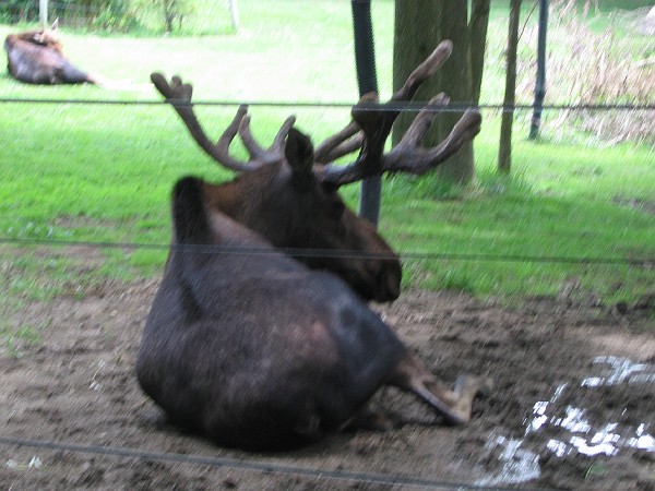 July 084.jpg